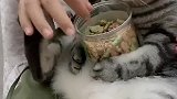 猫：别光给我喂饼干啊，快去给我端杯水来喝！