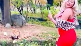 迷惑行为！美国女子跨过动物园围栏给狮子撒钱