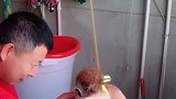 豆腐掉灰里，吹不得打不得。