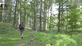 男子发现一窝彩色鸟蛋，带回家给母鸡孵化后，吓得马上报警