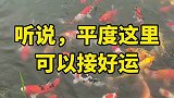 听说，平度这里可以接好运