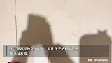 怕孩子不安全，宝妈带2岁儿子进女厕被骂没素质