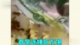 美甲奇葩的操作，还真是干活全靠想象力啊