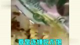 美甲奇葩的操作，还真是干活全靠想象力啊