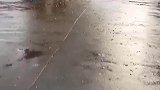 我刚才声音是有点大声，对不起