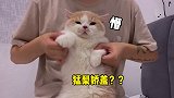 猛梨变辣梨️你们还爱吃吗？迷惑行为大赏 猛男必看 kissmemore dojacat