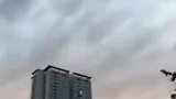 女子手机拍美景忘了手上还牵着狗