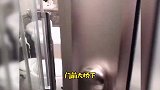 语出惊人，七匹狼已经抽不动了