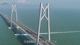 为什么港珠澳大桥几乎看不到车，这到底是什么原因？