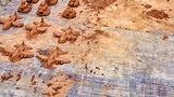 小男孩造出泥巴大军