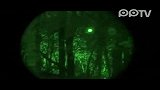 在树林拍摄到的真实的UFO