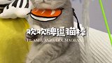 谢谢你百忙之中敷衍我