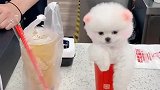 我是不是赚到了