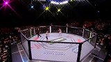UFC-14年-UFC Fight Night 54副赛：霍罗翰vs科拉德斯-全场