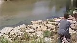 五米长眼镜蛇游向钓鱼男子，男子竟作死用石头去砸它