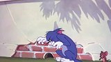 猫和老鼠：泰菲汪汪叫，汤姆就得赶紧跑，谁让他老爸厉害呢