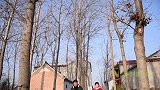 小伙结婚前一天丈母娘要50万，亲家转身就走，小伙做法感人