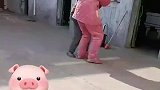 姐弟俩相爱相杀的一幕，弟弟被摔得原地转圈
