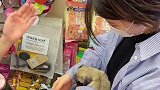 在日本买狗是什么体验？ 萌宠出道计划  家有萌宠  宠物  海外生活  日本  vlog日常