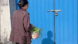孩子考上大学，婆婆举动暖心了！