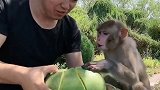 餐后水果