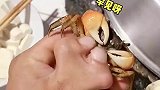 我可是有钳子的人