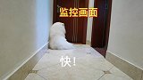 周末想睡懒觉是不可能的！