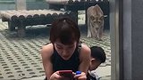 狮子向我扑击，女儿做出的这个反应，把我感动了！