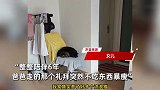 爸爸和猫咪同天离世前后差1小时