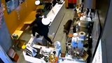 南京一野猪闯进奶茶店吓坏女店员 野猪：别怕 我溜达溜达野生动物 奶茶店 （剪辑：闪珊）