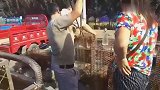 农村狗市：专业收狗的大哥，强行用铁夹子把狗装进笼子，满载而归