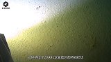 海底裂缝1万米处传出怪声，已维持20天，科学家感到担忧