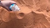 美女将矿泉水倒向沙漠，神奇的一幕出现了！