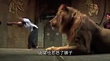 女子作死翻进狮子园，当着狮子面前手舞足蹈，网友：活腻了？