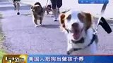 美国现小狗幼儿园 入园要经过面试-7月11日