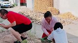 怎么多了一窝蛋呢？