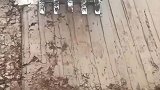 每个人都会犯错失误的