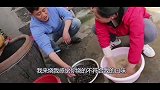 胖妞偷懒，老公下厨露一手，6斤香辣爆炒田螺，汤鲜味美，吃到撑