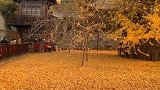 美得让人窒息，听得让人落泪