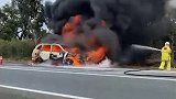 澳大利亚：危险！一辆汽车撞上袋鼠后爆炸起火