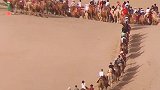 五一  旅游多火爆，甘肃敦煌沙漠都“堵骆驼”了。