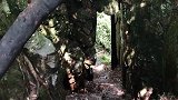 三打白骨精的取景地,天子山“试心石”