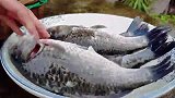 鱼吃了半辈子，第一次见这种做法，牛奶倒进去时，3条不够