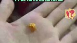 甲虫还有纯金的？村民家门口发现纯金金梳龟甲虫