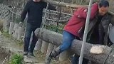 这四个人哪个人最吃力