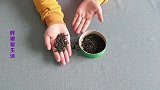 家里有过期的茶叶吗能解决家里不少烦恼，别怪没提醒你