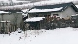 云南香格里拉。春雪。在路上。