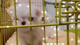 猜猜这里有几窝可爱呀