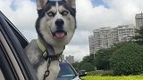 能让你如此伸头张望，是不是又有啥热闹看了