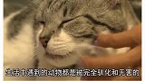 四个你要远离的危险动物